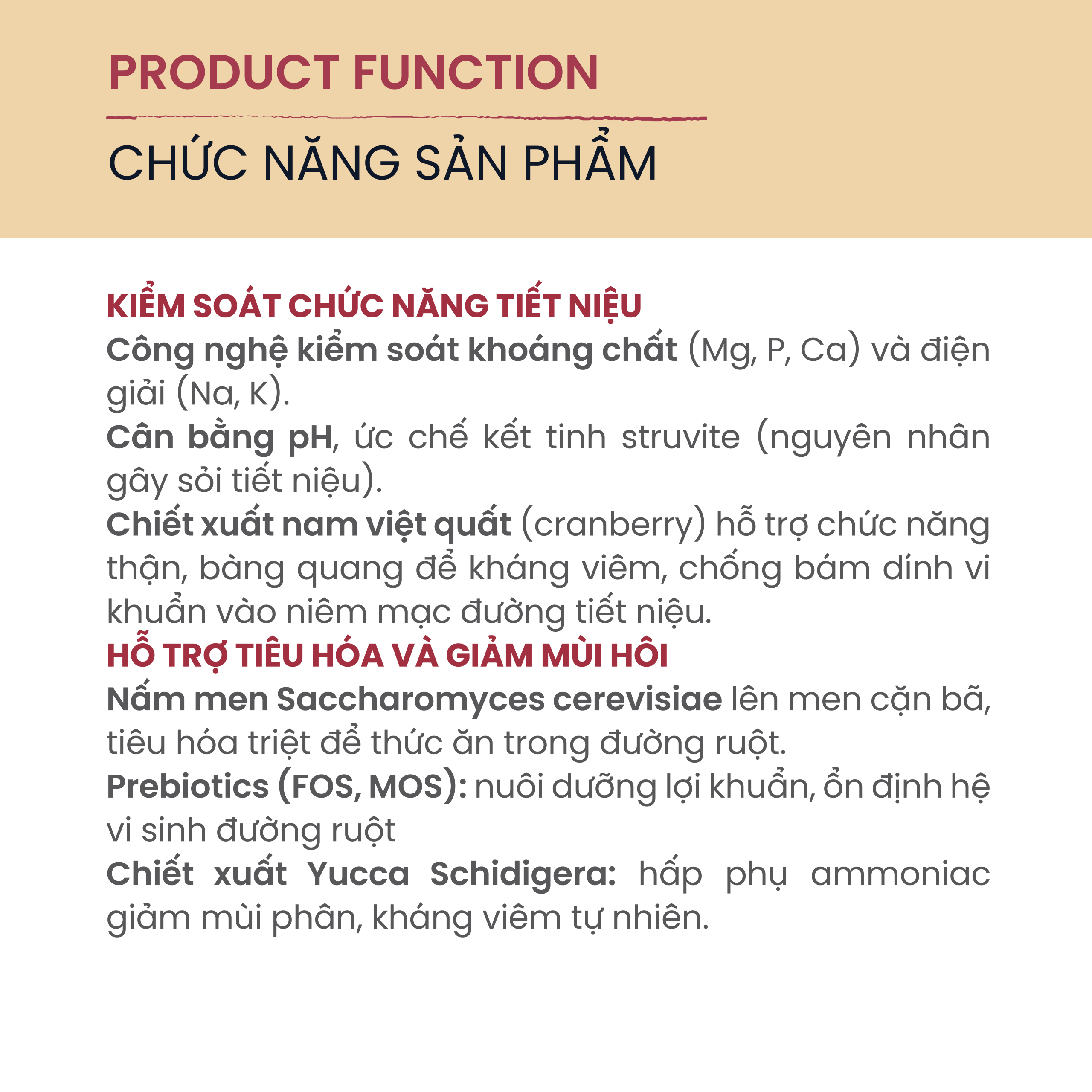 NOBI 101 - 1,2kg - Ảnh 3