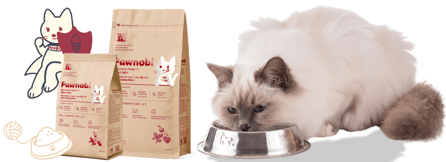 Thức ăn dành cho mèo