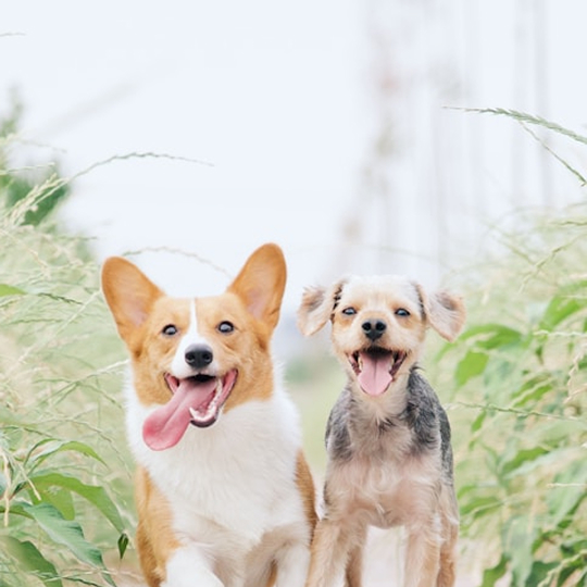 Anh Hùng – TP. HCM