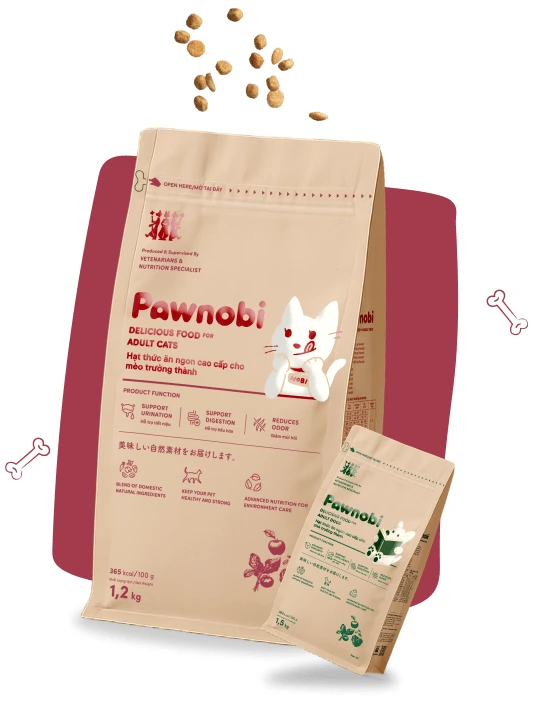 Vì sao Pawnobi <b>“ngon”</b> ?