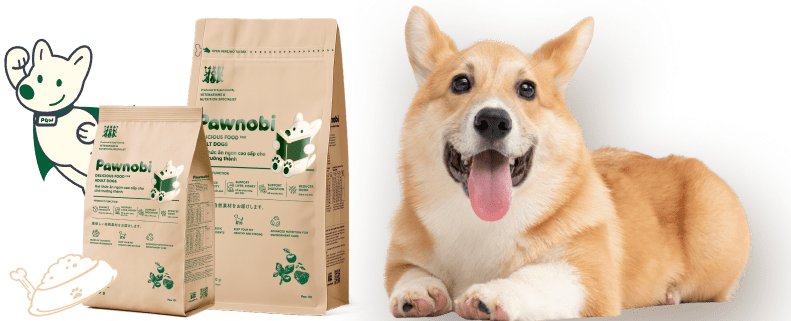 Thức ăn dành cho chó